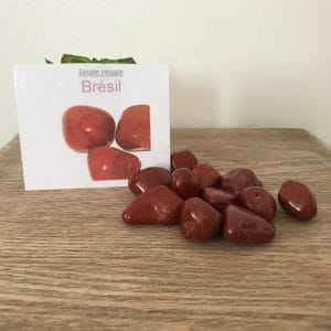 Plusieurs Jaspes rouges disposés sur une table
