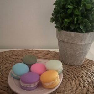 Sachet de 5 fondants artisanaux (forme macaron)